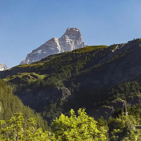 Cretaz Nest - Near Lifts Appartement *